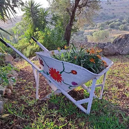 Fragosiko - Rustic Retreat In Kefalonia * Argostolion